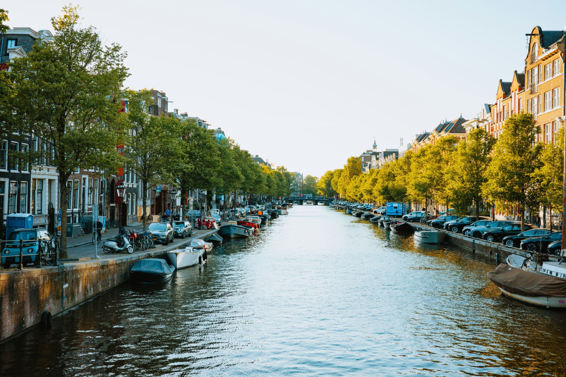 Amsterdamse gracht met bomen en boten